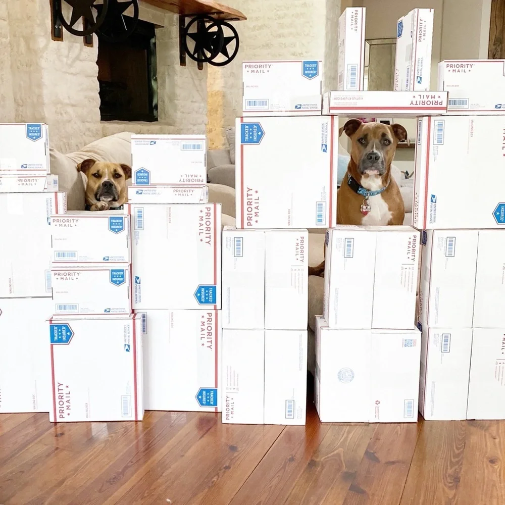 FOLLOW MY CUTE PAWSH ASSISTANTS! 🐶🐶🛍👑🐝 - Picture 13 of 16